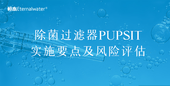 除菌過濾器PUPSIT實施要點及風險評估